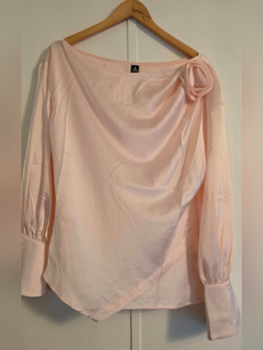 Anewsta Women's Light Pink Long-Sleeve Blouse with Rosette Detail